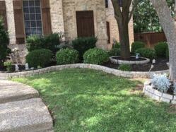 A beautiful garden in Denton Tx with trimmed shrubs completely by Tree Service Denton