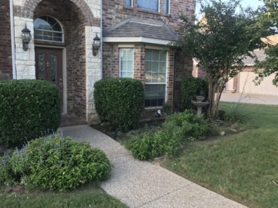 This is the same Denton home but it is after we shaped the bushes, cleaned the flower beds, and trimmed the shrubs.